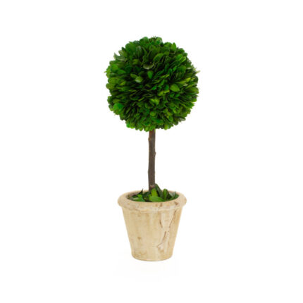 Topiary in Ceramic Pot - Chic Decora