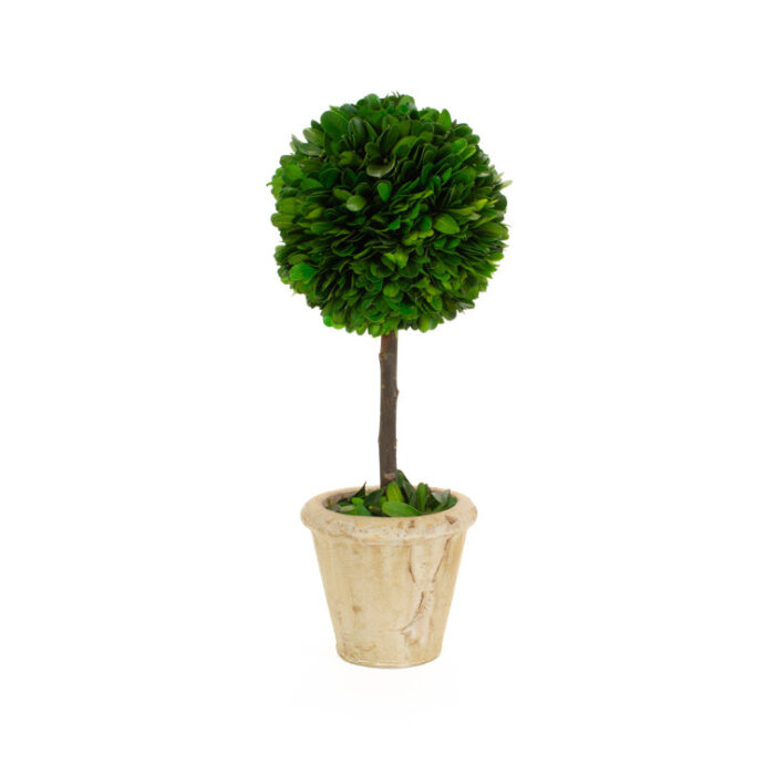 Topiary in Ceramic Pot - Chic Decora