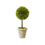 Topiary in Ceramic Pot - Chic Decora