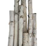 Wilson White Birch Pole Packs - Chic Decora