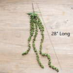 64” Faux Succulent Plant - Chic Decora