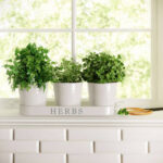 8.5” Faux Boxwood Plant in Metal Planter - Chic Decora