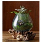 Savla Glass Table Vase - Chic Decora