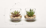 3” Faux Aloe Plant in Glass Pot - Chic Decora