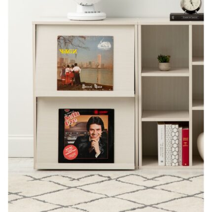 Aadhan Barister Storage Bookcase - Chic Decora