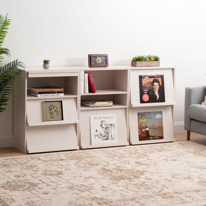 Aadhan Barister Storage Bookcase - Chic Decora