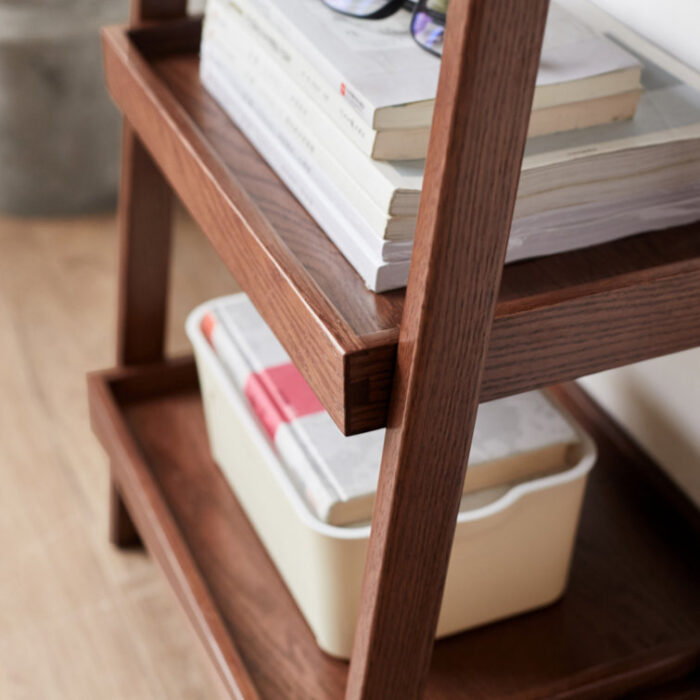 Ashunte Ladder Bookcase - Chic Decora