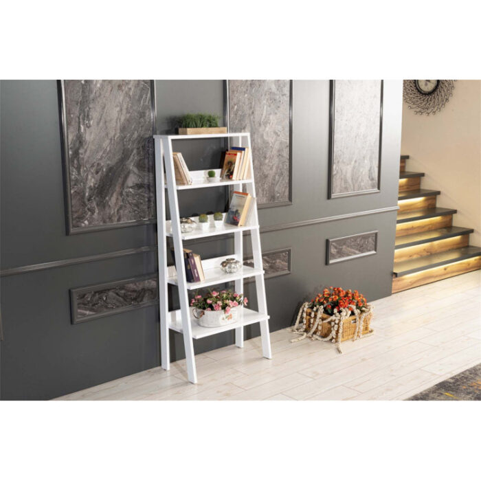 Johnnessa Ladder Bookcase - Chic Decora