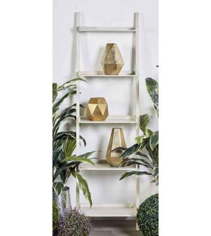 Noemi Ladder Bookcase - Chic Decora