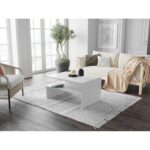 Aarick Coffee Table - Chic Decora