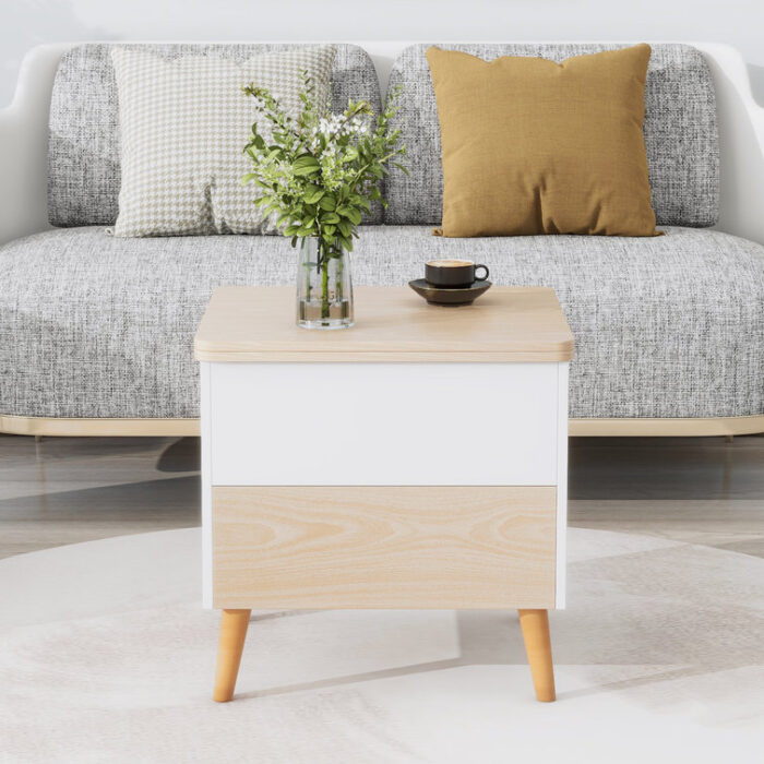 Anatoli Coffee Table - Chic Decora