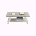 Angastina Coffee Table - Chic Decora