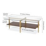 Aurra Glass Top Coffee Table - Chic Decora