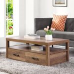 Avgoustinos Frame Coffee Table with Storage Drawers - Chic Decora