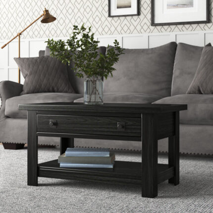 Tariffville 47″ L x 23.62″ W Rectangle Coffee Table - Chic Decora