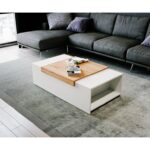 Coffee Table - Chic Decora