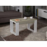 Coffee Table - Chic Decora