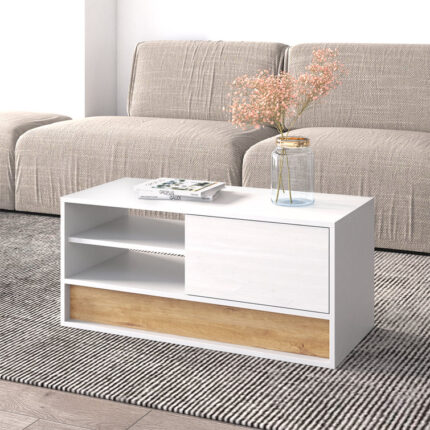 Oecusse Glass Top Coffee Table - Chic Decora