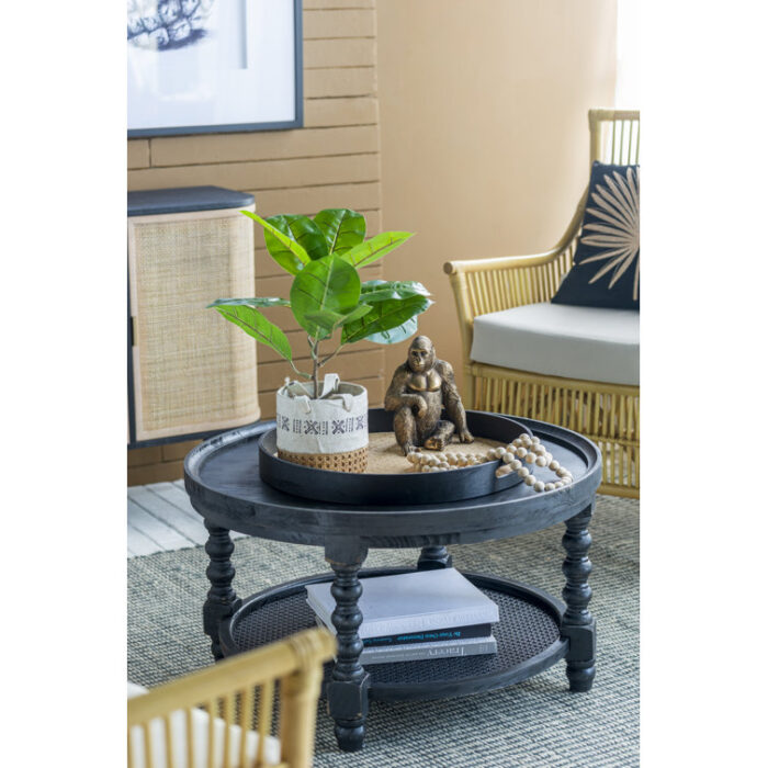 Iseminger Coffee Table - Chic Decora