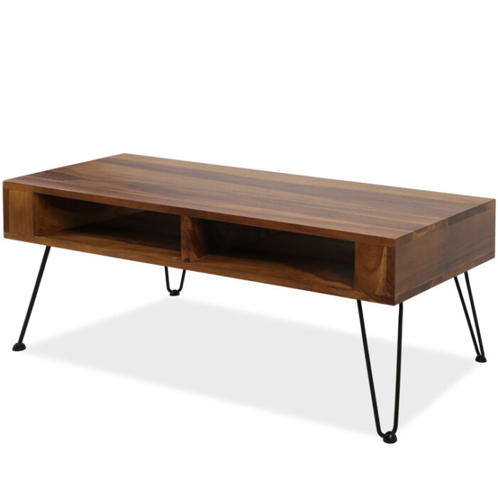 Neta Walnut Coffee Table with Storage - Chic Decora