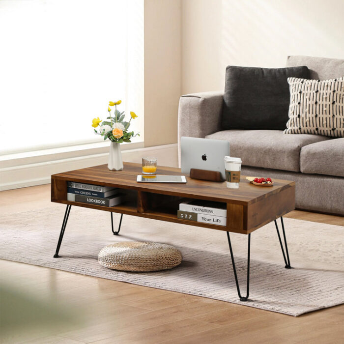 Neta Walnut Coffee Table with Storage - Chic Decora