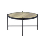 Phinneaus Glass Top Coffee Table - Chic Decora