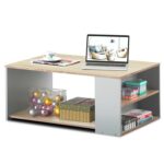 Quin Coffee Table - Chic Decora