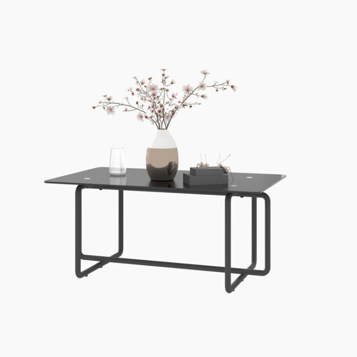 Selmner Glass Top Coffee Table - Chic Decora