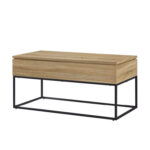 Stoltz Coffee Table - Chic Decora