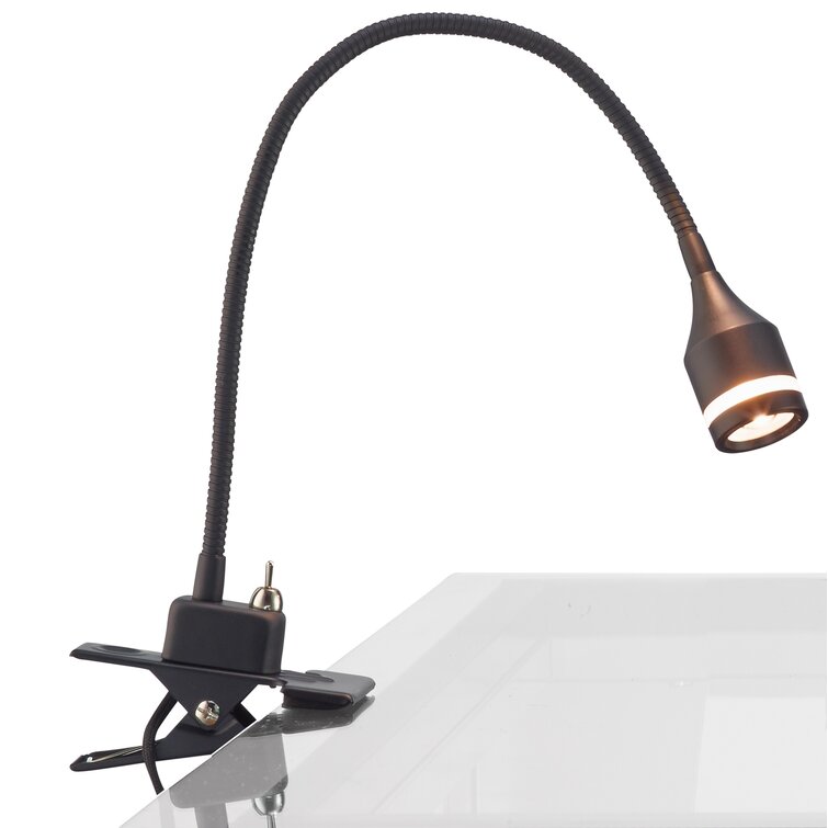 Winnie Adjustable Metal Clip On Lamp - Chic Decora