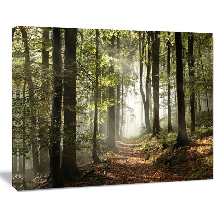 ” ‘Green Fall Forest With Sun Rays’ “ - Chic Decora