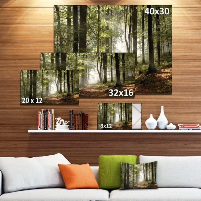 ” ‘Green Fall Forest With Sun Rays’ “ - Chic Decora