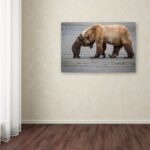 ” A Little Bear Hug ” by Renee Doyle - Chic Decora