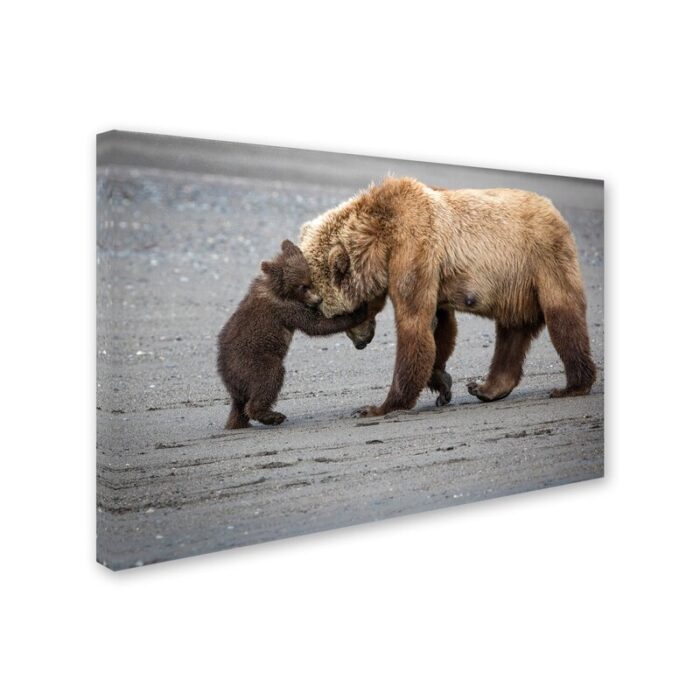 ” A Little Bear Hug ” by Renee Doyle - Chic Decora