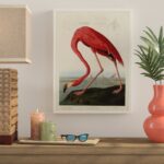 ” American Flamingo ” by James Audubon - Chic Decora