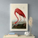 ” American Flamingo ” by James Audubon Painting Print - Chic Decora