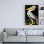 ” American White Pelican ” by James Audubon - Chic Decora