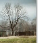 ” An Old Gray Barn ” by Jai Johnson - Chic Decora