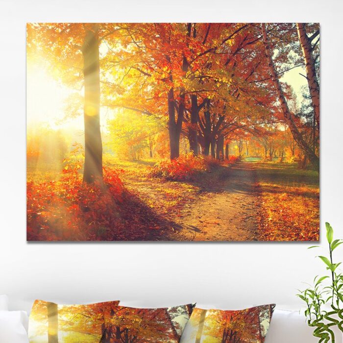 ” Autumnal Trees In Sunrays “ - Chic Decora