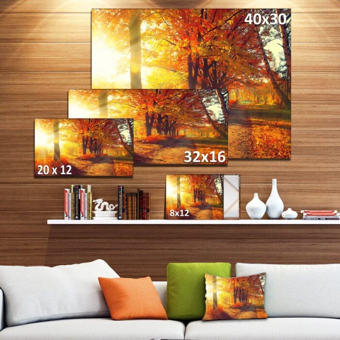 ” Autumnal Trees In Sunrays “ - Chic Decora