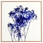 ” Babys Breath Indigo ” by Garima Dhawan - Chic Decora