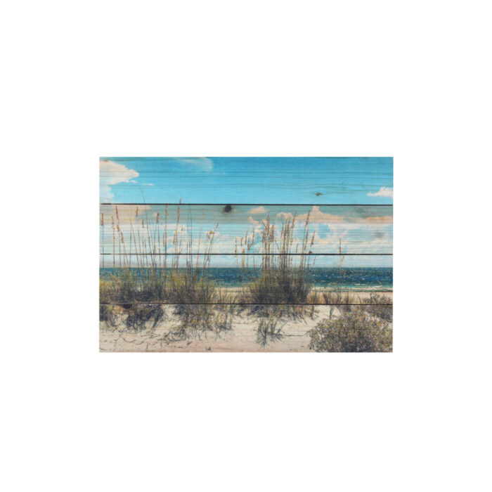 “Beach Sand Dunes” Photograph Print on Planked Wood Wall Art - Chic Decora