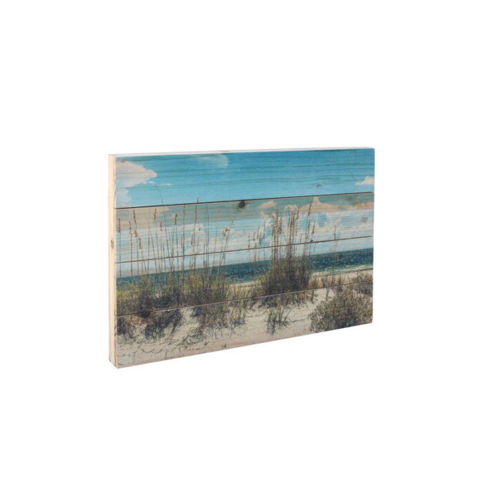 “Beach Sand Dunes” Photograph Print on Planked Wood Wall Art - Chic Decora