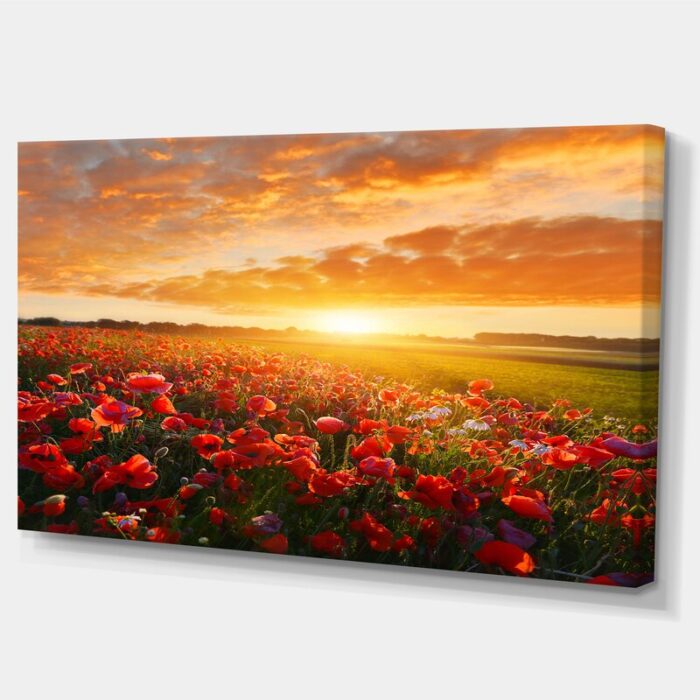 ” Beautiful Poppy Field At Sunset “ - Chic Decora