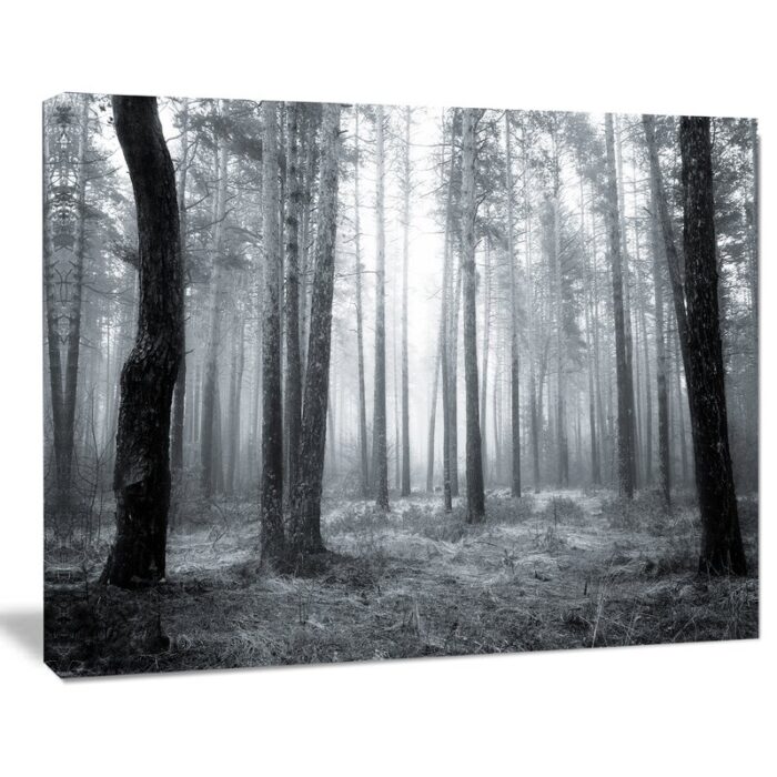 ” Black And White Foggy Forest “ - Chic Decora