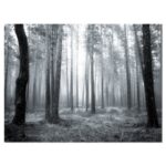 ” Black And White Foggy Forest “ - Chic Decora