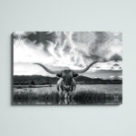 ” Black And White Longhorn Cow I “ - Chic Decora