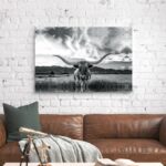 ” Black And White Longhorn Cow I “ - Chic Decora