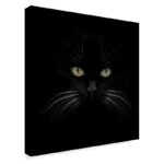 ” Black Cat Centered ” by Lori Hutchison - Chic Decora