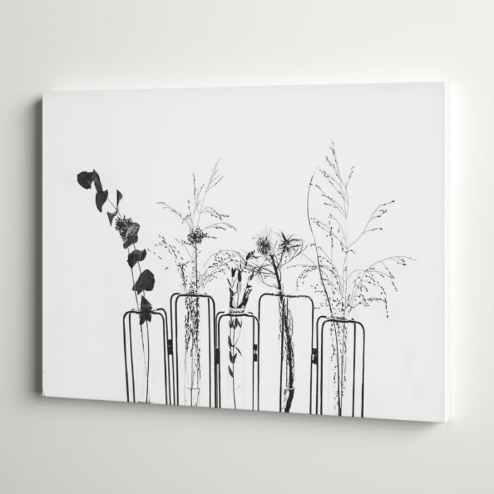 ” Black Flowers On White Background “ - Chic Decora